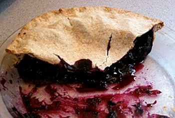 Blueberry / cranberry pie