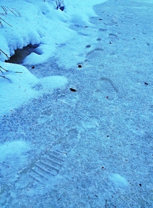 Footprints frozen in the Creek