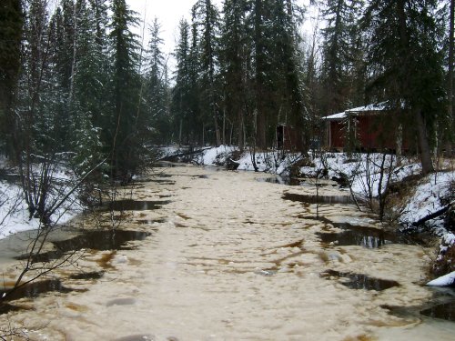 Creek toward the red cabin