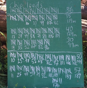 Wood chip tally