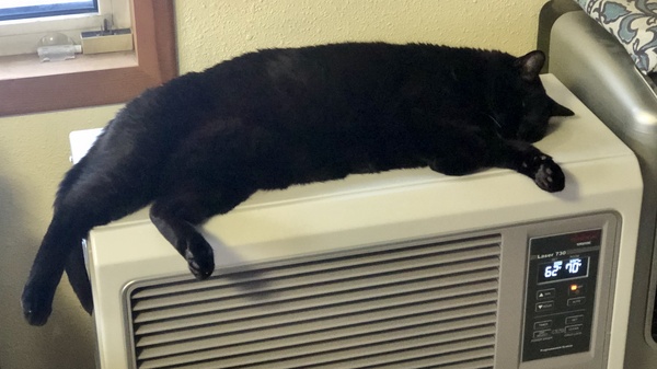 Caslon on the heater